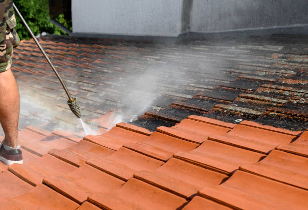 Best House Pressure Washing  in Balfour, NC